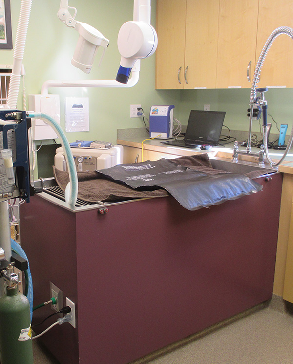 dental-suite