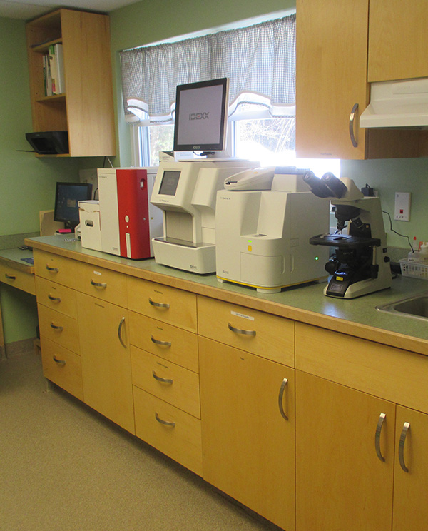 lab-2