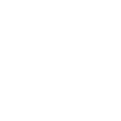 blank circle photo