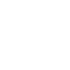 blank circle photo
