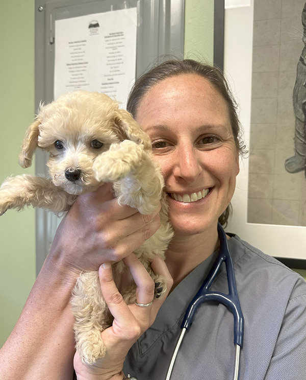 vet-holding-up-puppy