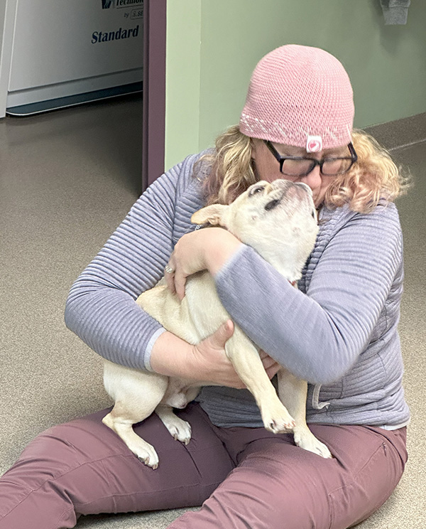vet-hugging-bulldog