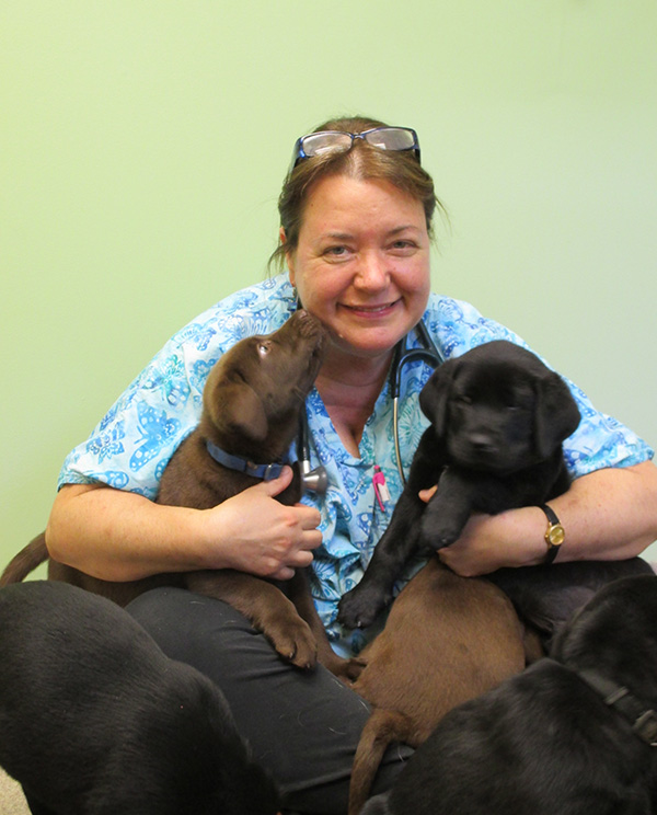 vet-with-lab-puppies