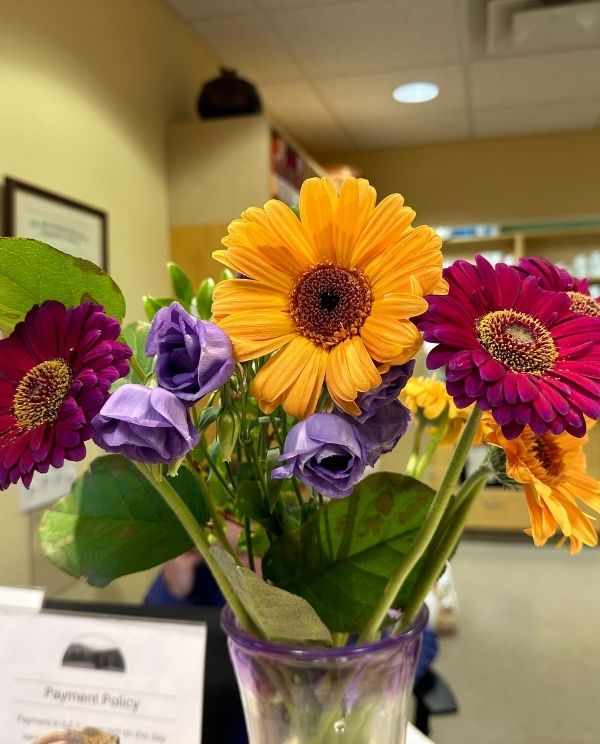A colorful arrangement of flowers in a vase