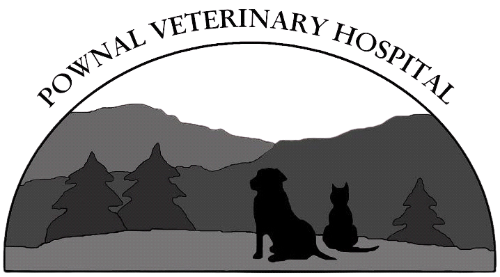 Pownal Veterinary Hospital logo